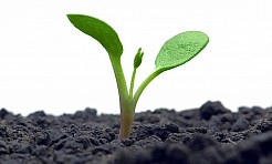 Konsultacje społeczne Programu Ochrony Środowiska dla Województwa Śląskiego - Serwis informacyjny z Raciborza - naszraciborz.pl