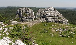 Dofinansowanie ochrony muraw kserotermicznych - Serwis informacyjny z Raciborza - naszraciborz.pl