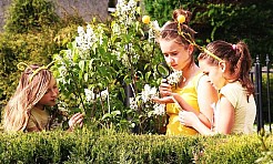 Trzeci og&oacute;lnopolski Wielki Dzień Pszcz&oacute;ł 8 sierpnia w wojew&oacute;dztwie śląskim&nbsp; - Serwis informacyjny z Raciborza - naszraciborz.pl