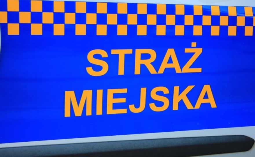 Nietrzeźwi na ulicach i zagrożenie na rondzie. Straż Miejska interweniowała - Serwis informacyjny z Raciborza - naszraciborz.pl