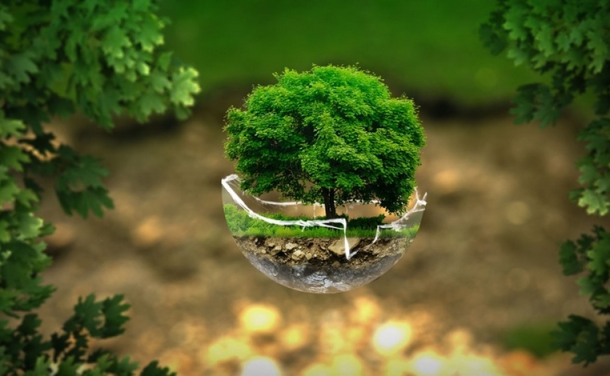 Program ograniczenia niskiej emisji na lata 2018-2028 w Raciborzu. Sprawdź, ile można dostać wsparcia od miasta  - Serwis informacyjny z Raciborza - naszraciborz.pl