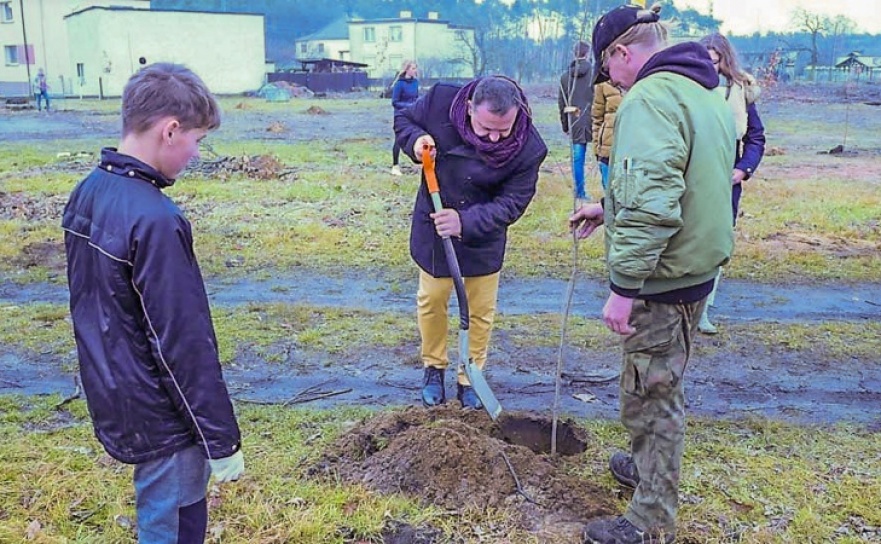 Nasadzenie drzew w Parku Dębina - Serwis informacyjny z Raciborza - naszraciborz.pl