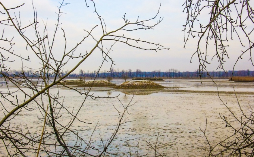 Działania ochronne w rezerwacie Łężczok - Serwis informacyjny z Raciborza - naszraciborz.pl