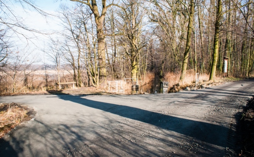 Ścieżki w Łężczoku zostały już odnowione  - Serwis informacyjny z Raciborza - naszraciborz.pl