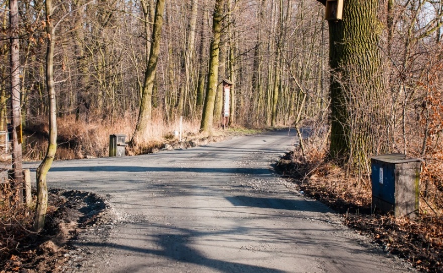 Ścieżka rowerowa do Łężczoka. Przetarg zaplanowano na pierwszy kwartał  - Serwis informacyjny z Raciborza - naszraciborz.pl