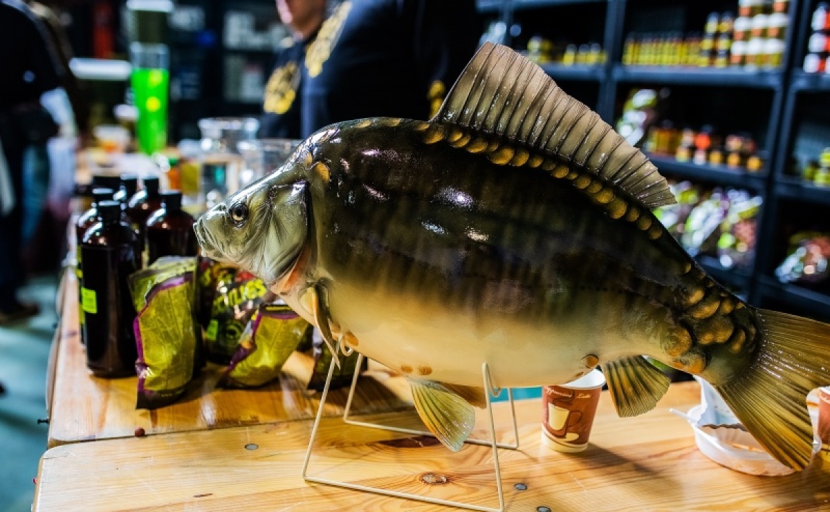 VII Targi Wędkarskie Babiczok Fishing już w marcu - Serwis informacyjny z Raciborza - naszraciborz.pl