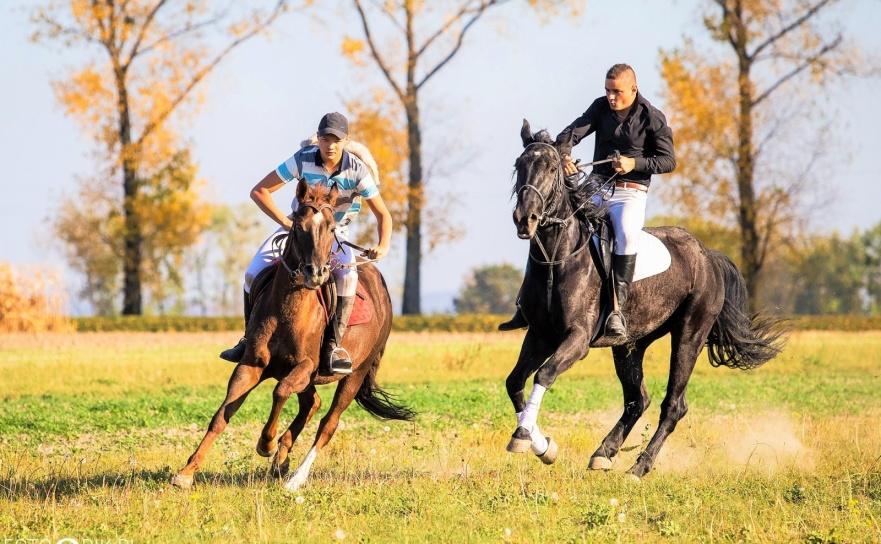 Hubertus z Podkową w Żerdzinach. Pogoń za lisem i wielki finał Hobby Horse - Serwis informacyjny z Raciborza - naszraciborz.pl