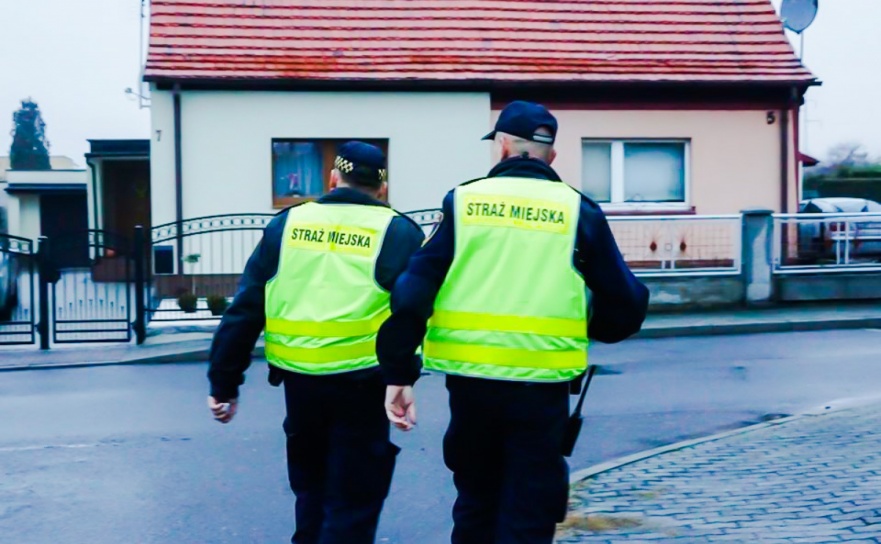 Mandaty, porządek i prewencja – Straż Miejska na tropie wykroczeń - Serwis informacyjny z Raciborza - naszraciborz.pl