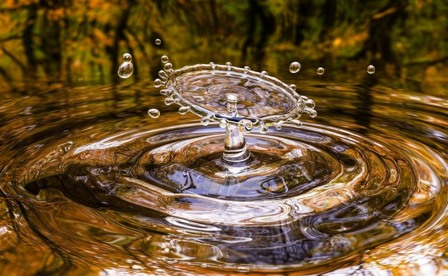 WFOŚiGW w Katowicach rozpoczął nabór wniosków w programie Moja Woda - Serwis informacyjny z Raciborza - naszraciborz.pl