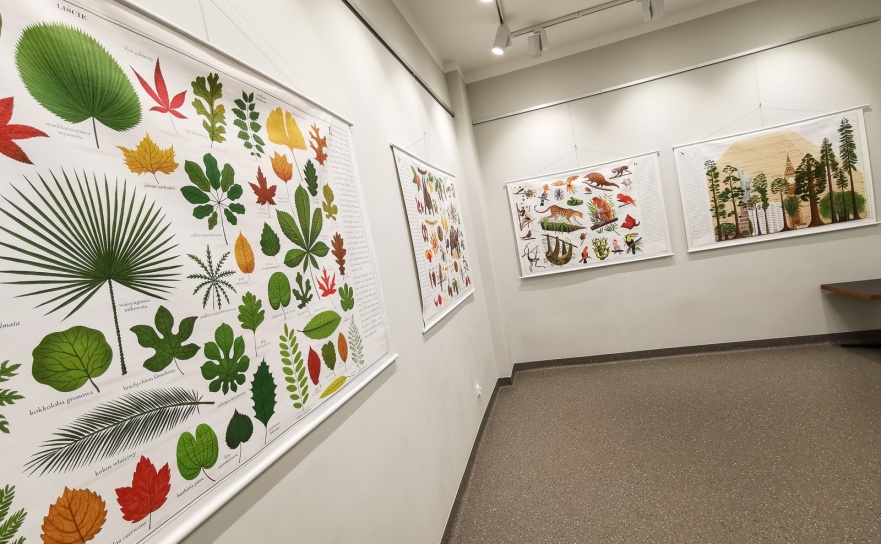 Wystawa Drzewa w raciborskiej bibliotece - Serwis informacyjny z Raciborza - naszraciborz.pl