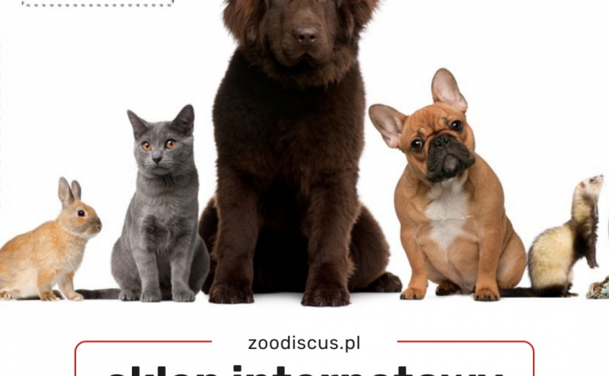 Największy sklep zoologiczny w Raciborzu - Serwis informacyjny z Raciborza - naszraciborz.pl