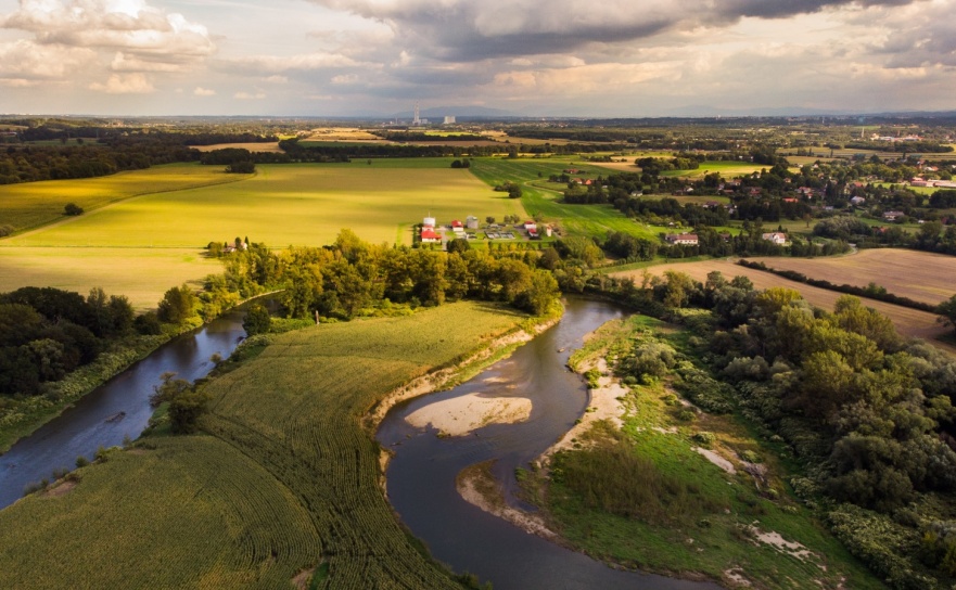 Wakacyjny Spływ Kajakowy z Przyrodnikiem po Meandrach Odry. Letnia przygoda z naturą, ornitologią i kajakiem w tle - Serwis informacyjny z Raciborza - naszraciborz.pl