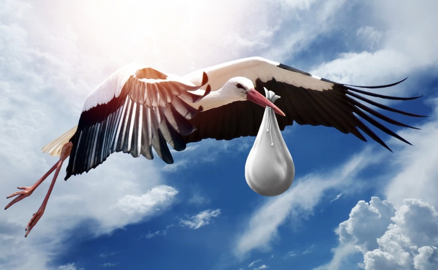 Urodzenia, śluby, zgony – rok 2023 w gminie Nędza - Serwis informacyjny z Raciborza - naszraciborz.pl