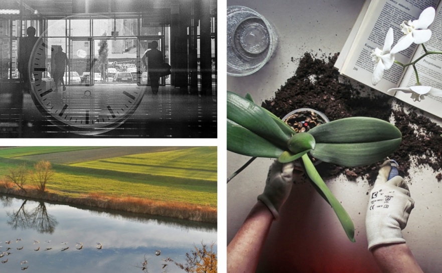 Foton w hołdzie Ziemi. E-wystawa studentów raciborskiej PWSZ - Serwis informacyjny z Raciborza - naszraciborz.pl