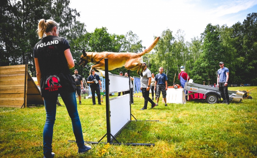 Puchar Narodów Mondioringu 2024: Emocjonujące zawody w Babicach i Senickiej Hane - Serwis informacyjny z Raciborza - naszraciborz.pl