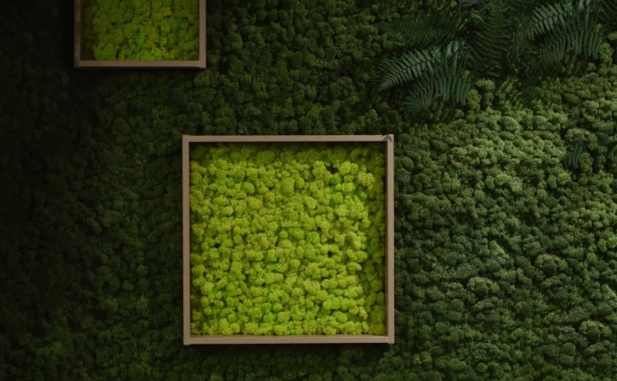 Ogrody wertykalne - świetny sposób na dekorację wnętrza - Serwis informacyjny z Raciborza - naszraciborz.pl