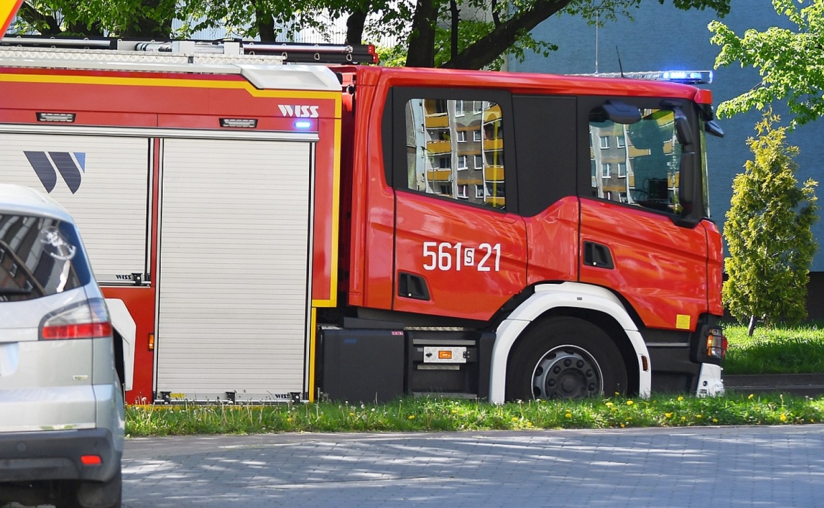 Pszczoły, czujki i ogień – dzień pełen interwencji raciborskich strażaków - Serwis informacyjny z Raciborza - naszraciborz.pl
