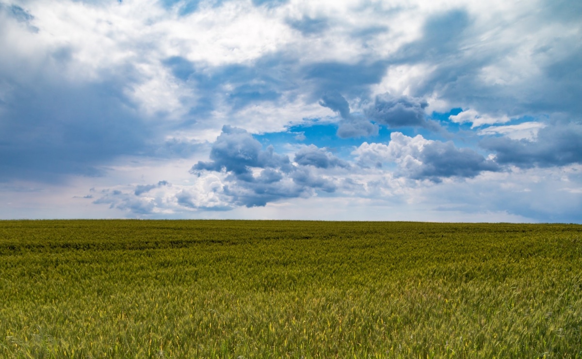 Dlaczego system zarządzania gospodarstwem to dobry wybór? - Serwis informacyjny z Raciborza - naszraciborz.pl