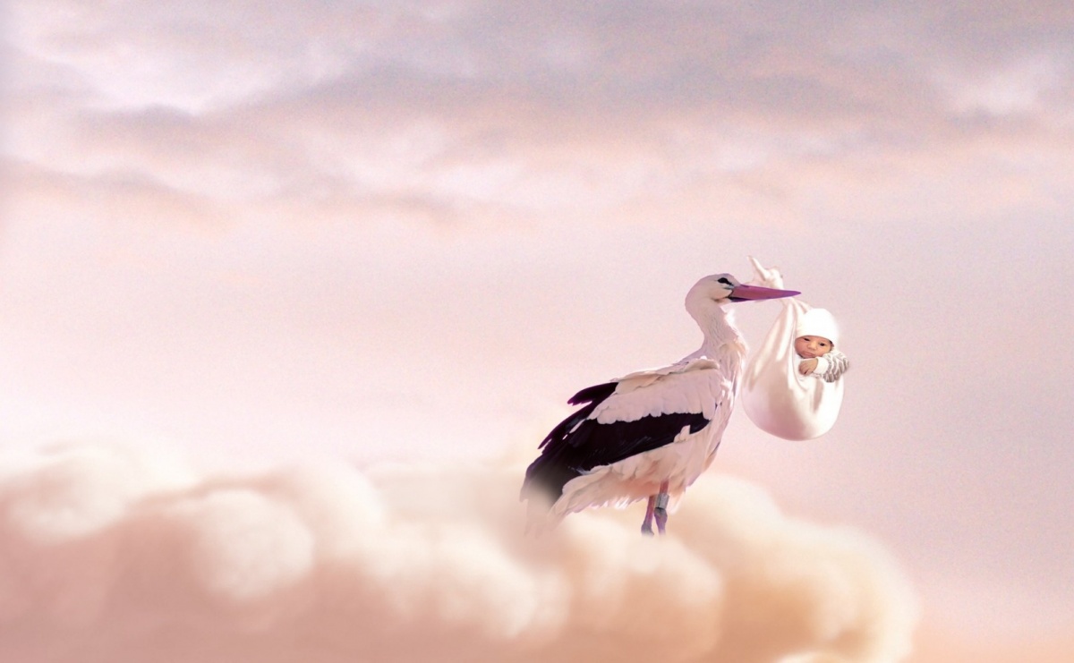 Gmina Krzanowice - urodzenia, zgony, śluby i rozwody w 2023 r. - Serwis informacyjny z Raciborza - naszraciborz.pl