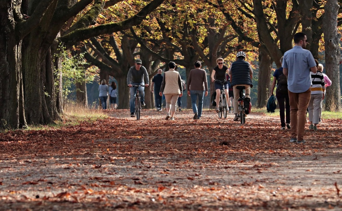 Czym jest mała architektura miejska? - Serwis informacyjny z Raciborza - naszraciborz.pl