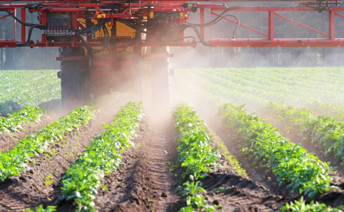 Insektycyd - środek owadobójczy do zwalczania szkodników w uprawach - Serwis informacyjny z Raciborza - naszraciborz.pl