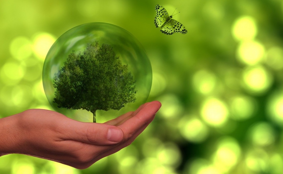 Czyste powietrze tylko z audytem - Serwis informacyjny z Raciborza - naszraciborz.pl