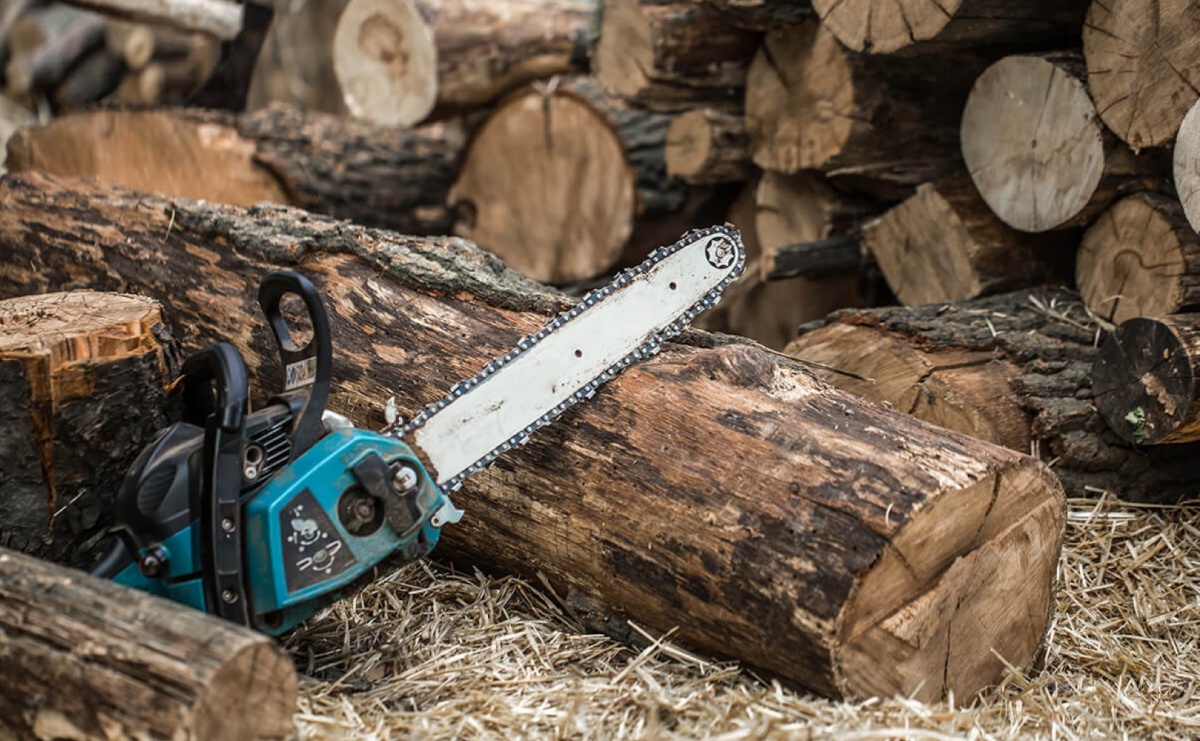 Ile kosztuje alpinistyczna wycinka drzew? - Serwis informacyjny z Raciborza - naszraciborz.pl