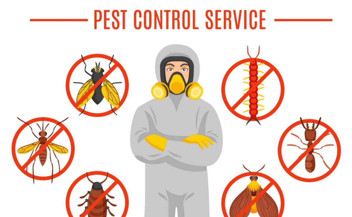 Jak sprawdzić, czy w domu są pluskwy - Serwis informacyjny z Raciborza - naszraciborz.pl