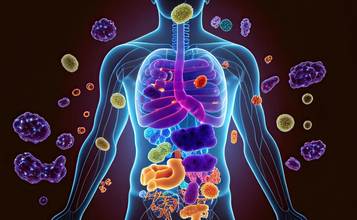 Zadbaj o odporność jesienią i zimą - jedz kiszonki! - Serwis informacyjny z Raciborza - naszraciborz.pl