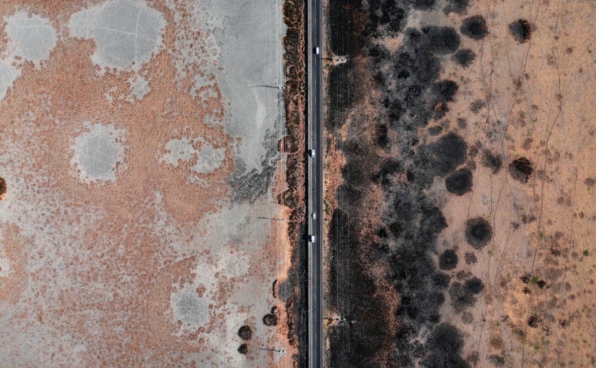 Jak pleśń obecna w domu wpływa na nasze zdrowie? - Serwis informacyjny z Raciborza - naszraciborz.pl