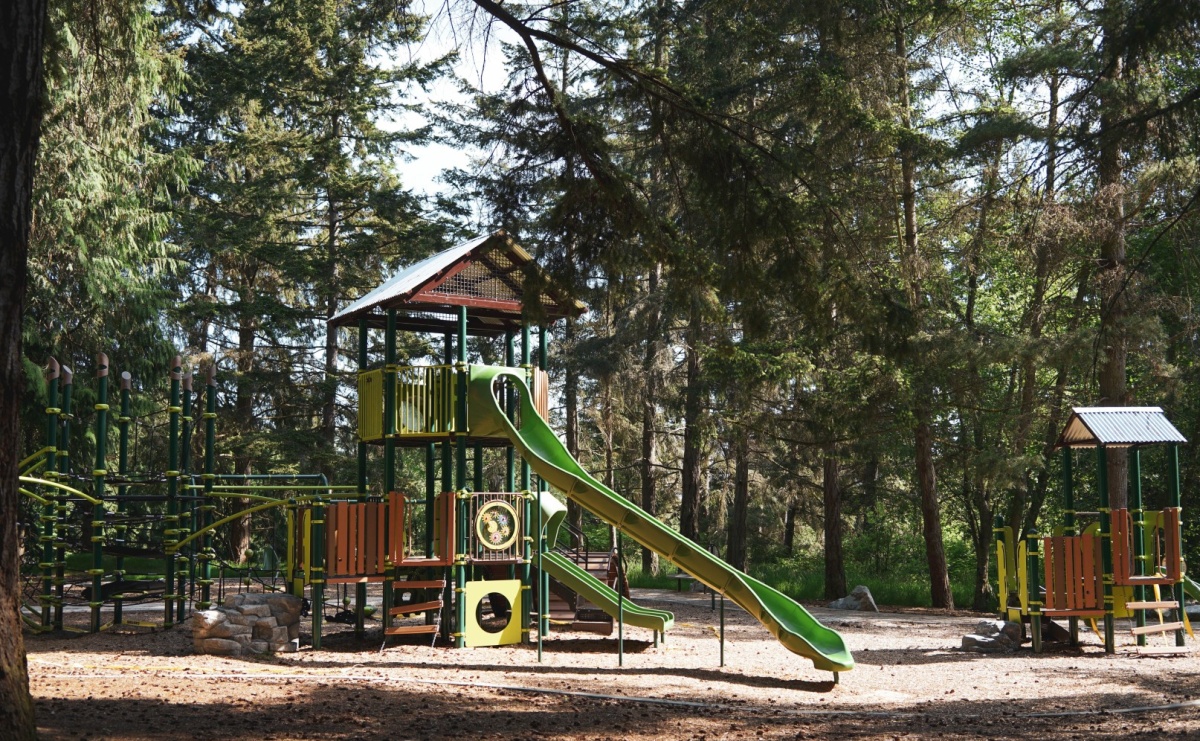 Jak wkomponować plac zabaw w zieloną przestrzeń? - Serwis informacyjny z Raciborza - naszraciborz.pl