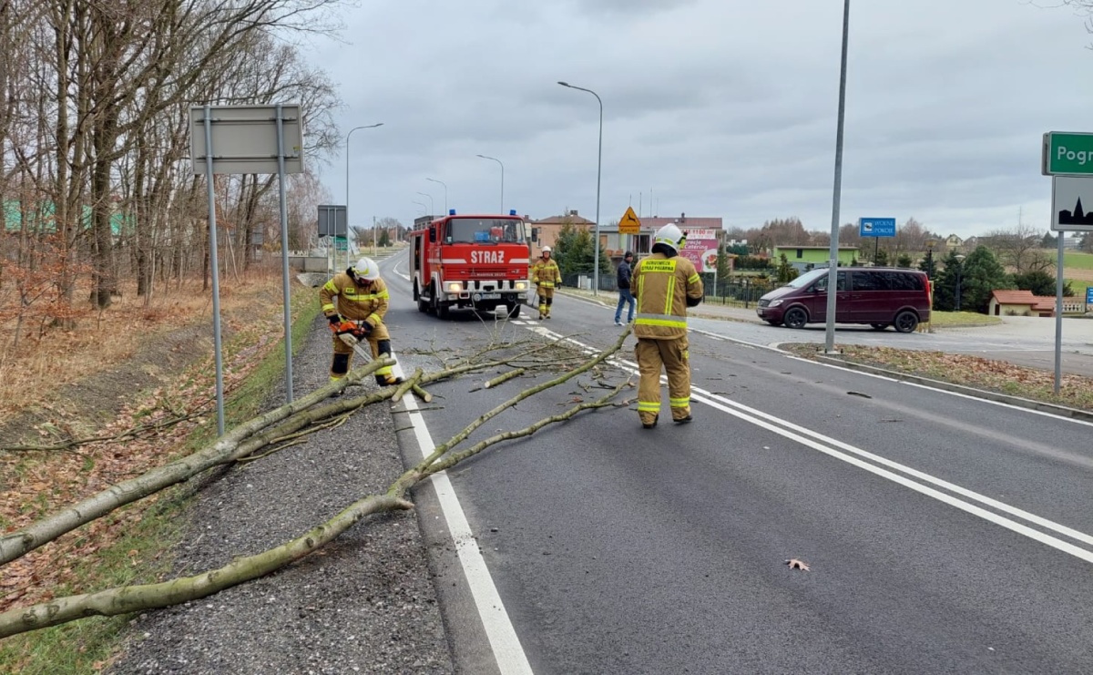 Seria interwencji z powalonymi drzewami - Serwis informacyjny z Raciborza - naszraciborz.pl