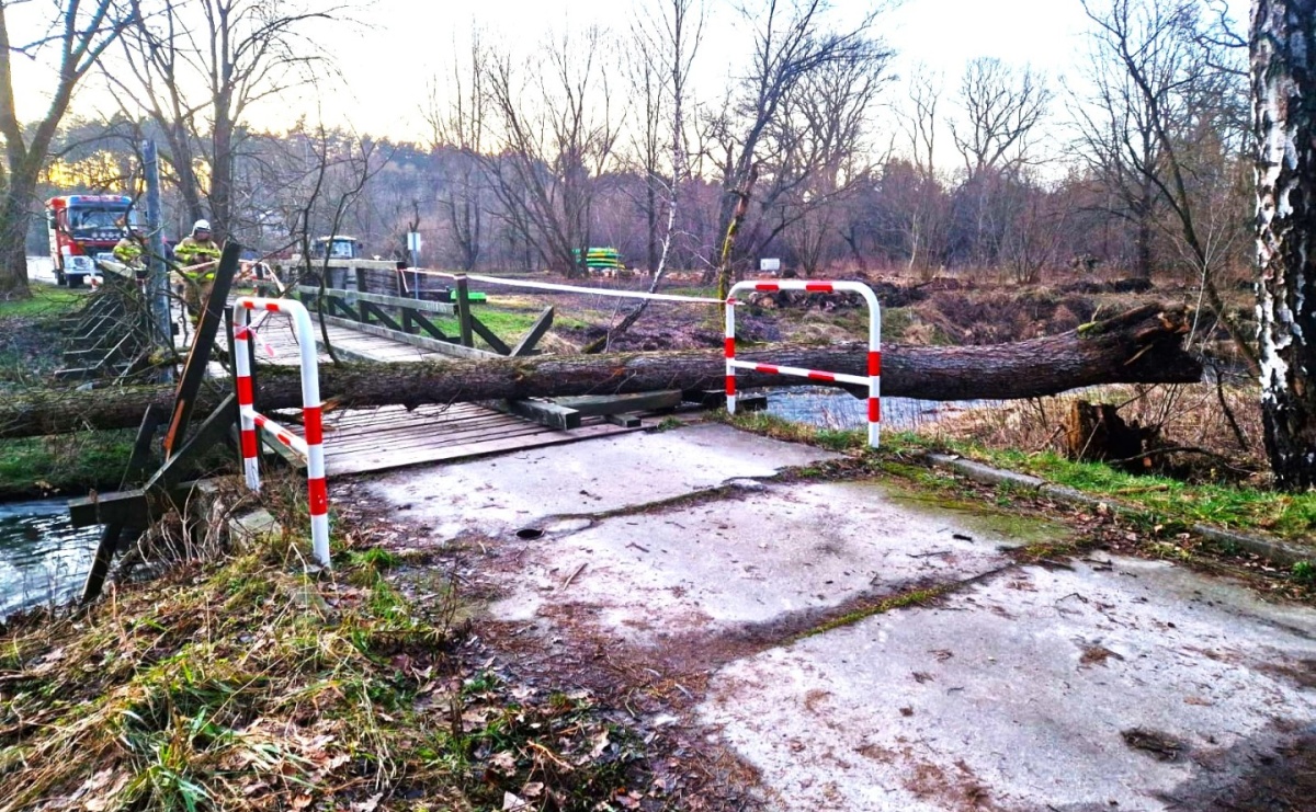 Raport 998. Drzewo runęło na most nad Rudą - Serwis informacyjny z Raciborza - naszraciborz.pl