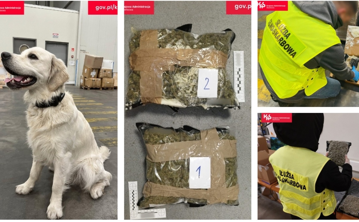 Czworonożny funkcjonariusz Kodi ujawnił przemyt - Serwis informacyjny z Raciborza - naszraciborz.pl
