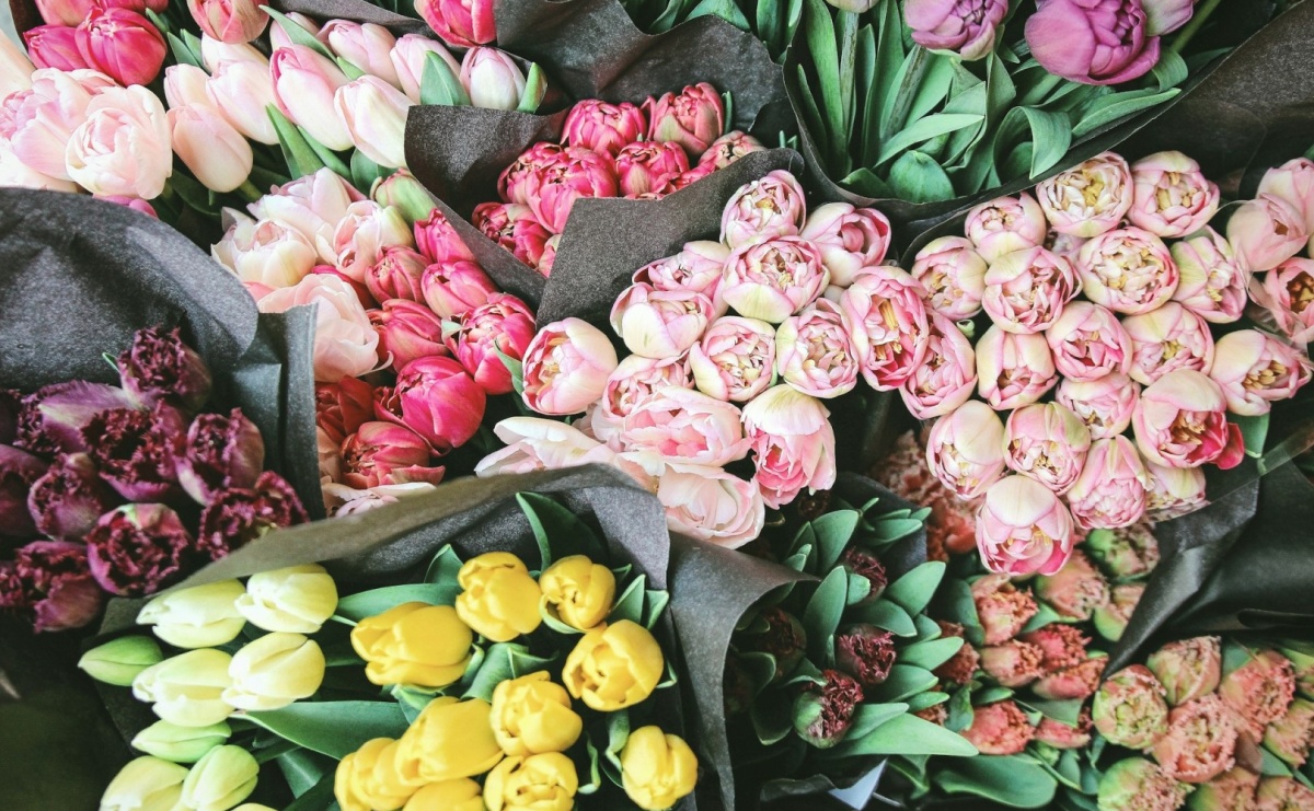 Jakie kwiaty wybrać na urodziny? - Serwis informacyjny z Raciborza - naszraciborz.pl