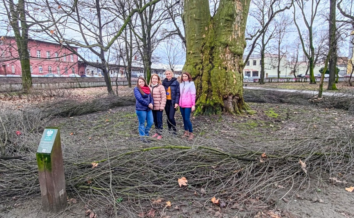 Powstały naturalne schronienia dla dzikich zwierząt w parku przy Kolejowej - Serwis informacyjny z Raciborza - naszraciborz.pl