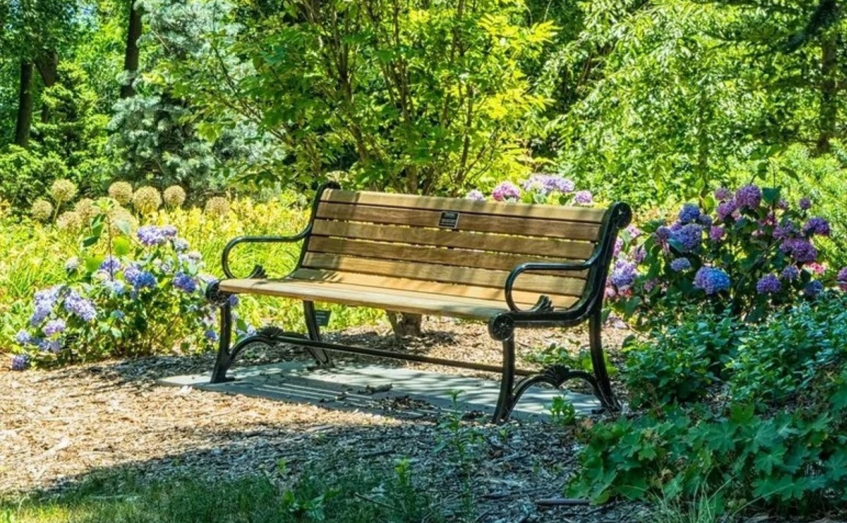 Ruszyła X edycja ogólnopolskiego projektu grantowego Zielona Ławeczka - Serwis informacyjny z Raciborza - naszraciborz.pl