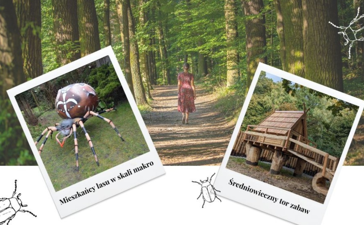 23 marca premiera nowych atrakcji w Arboretum Bramy Morawskiej [FOTO] - Serwis informacyjny z Raciborza - naszraciborz.pl