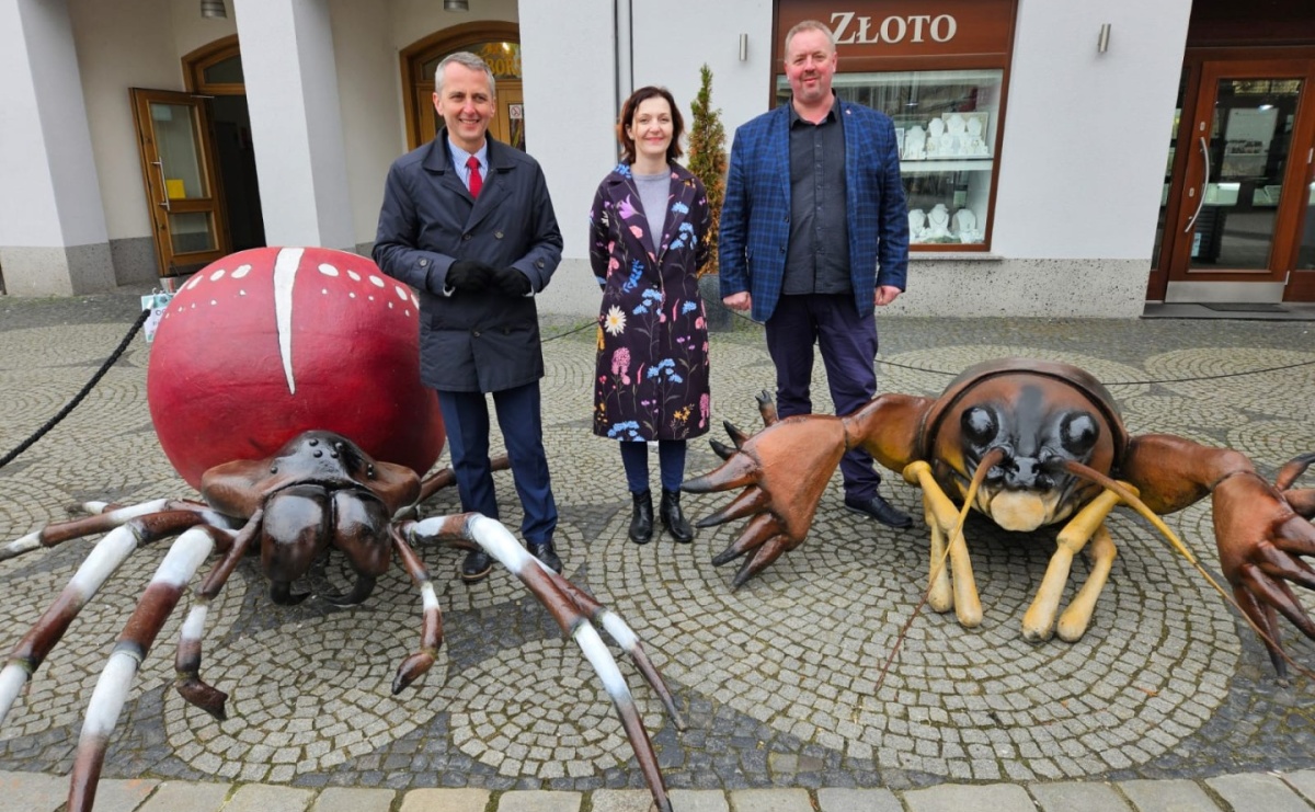 Mali mieszkańcy Arboretum w makro skali - Serwis informacyjny z Raciborza - naszraciborz.pl