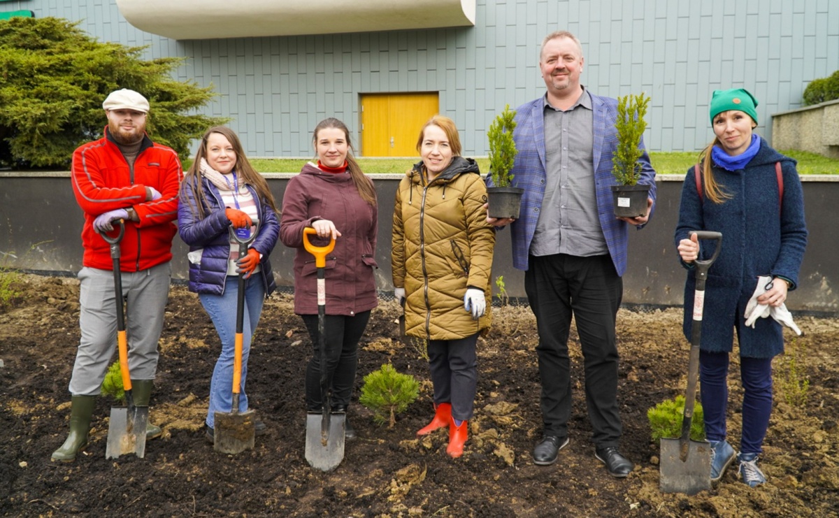 Przy Państwowej Szkole Muzycznej w Raciborzu pojawiły się nowe nasadzenia - Serwis informacyjny z Raciborza - naszraciborz.pl