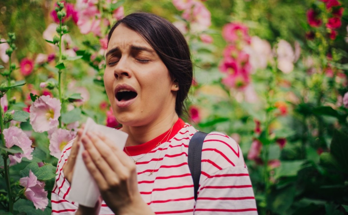 Dokucza Ci alergia? Zobacz, jak wybrać krople na katar sienny! - Serwis informacyjny z Raciborza - naszraciborz.pl