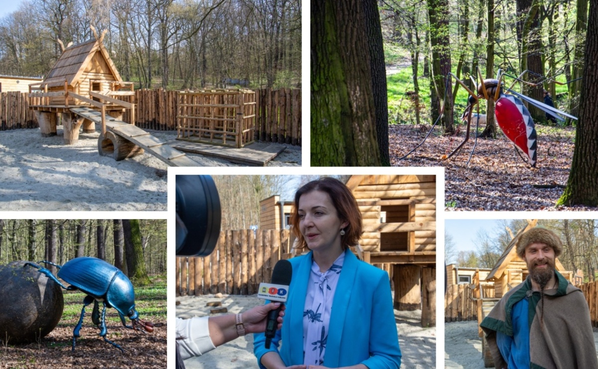 Owady w skali makro i średniowieczny tor zabaw. Drengowie i Arboretum zadbało o nowe atrakcje lasu Obora - Serwis informacyjny z Raciborza - naszraciborz.pl