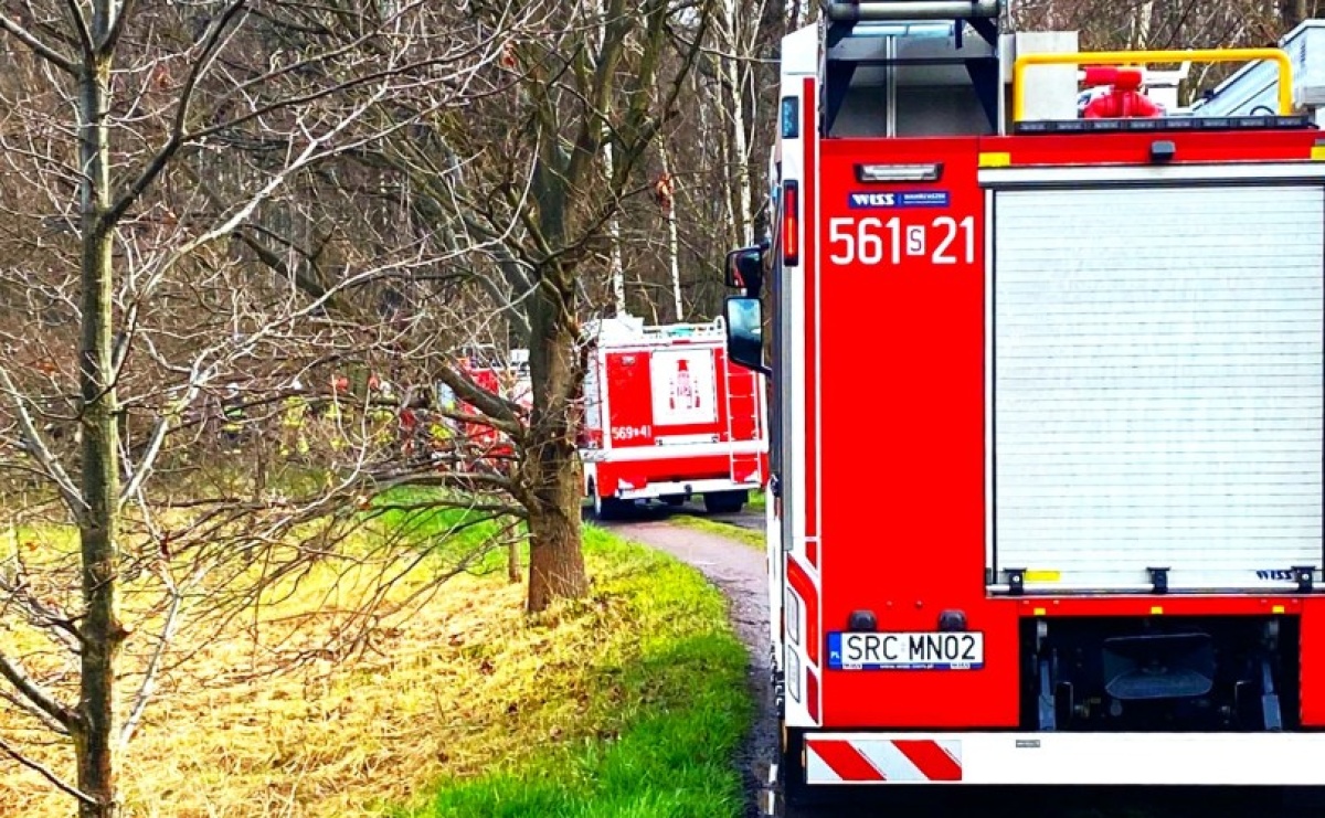 Raport 998. Powalone drzewa, spadające cegłówki. Weekend strażaków - Serwis informacyjny z Raciborza - naszraciborz.pl