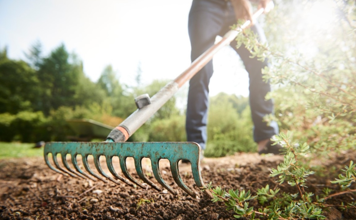 BHP w ogródku: w co się warto wyposażyć, aby chronić się przed zagrożeniami na prywatnej posesji? - Serwis informacyjny z Raciborza - naszraciborz.pl