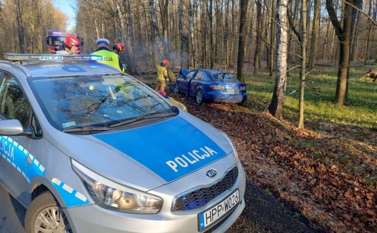 Groźne zdarzenie u sąsiadów. Winna sarna - Serwis informacyjny z Raciborza - naszraciborz.pl