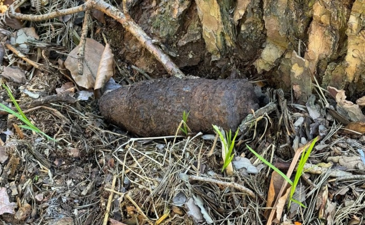 Kuźnia Raciborska. Niebezpieczna pamiątka po II wojnie światowej - Serwis informacyjny z Raciborza - naszraciborz.pl