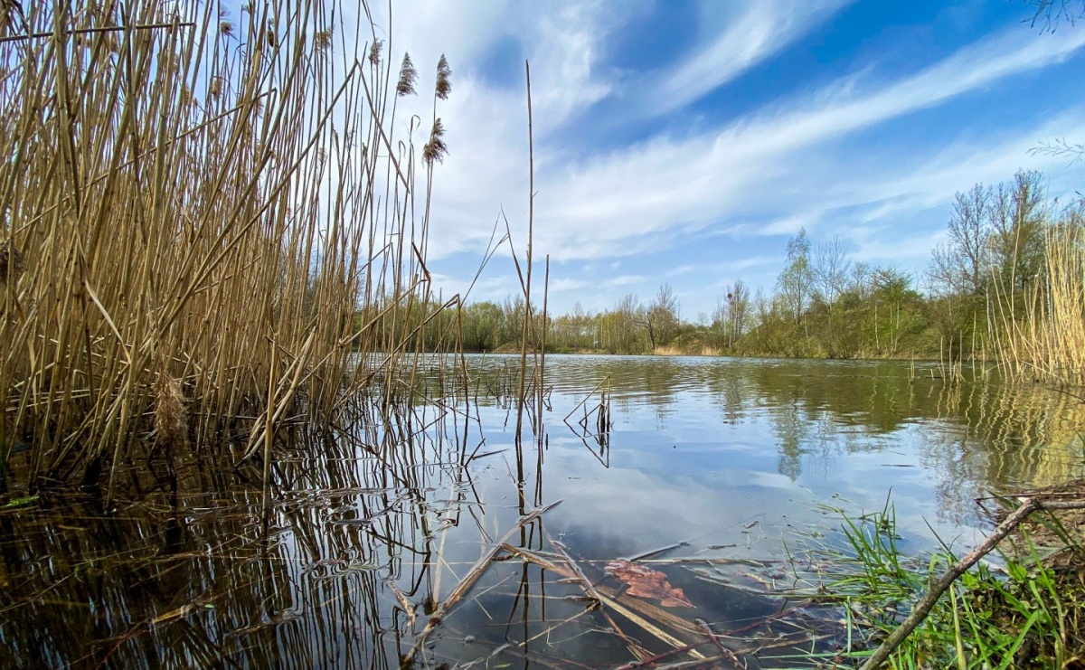 Zakaz kąpieli i morsowania na terenach żwirowni w Raciborzu - Serwis informacyjny z Raciborza - naszraciborz.pl