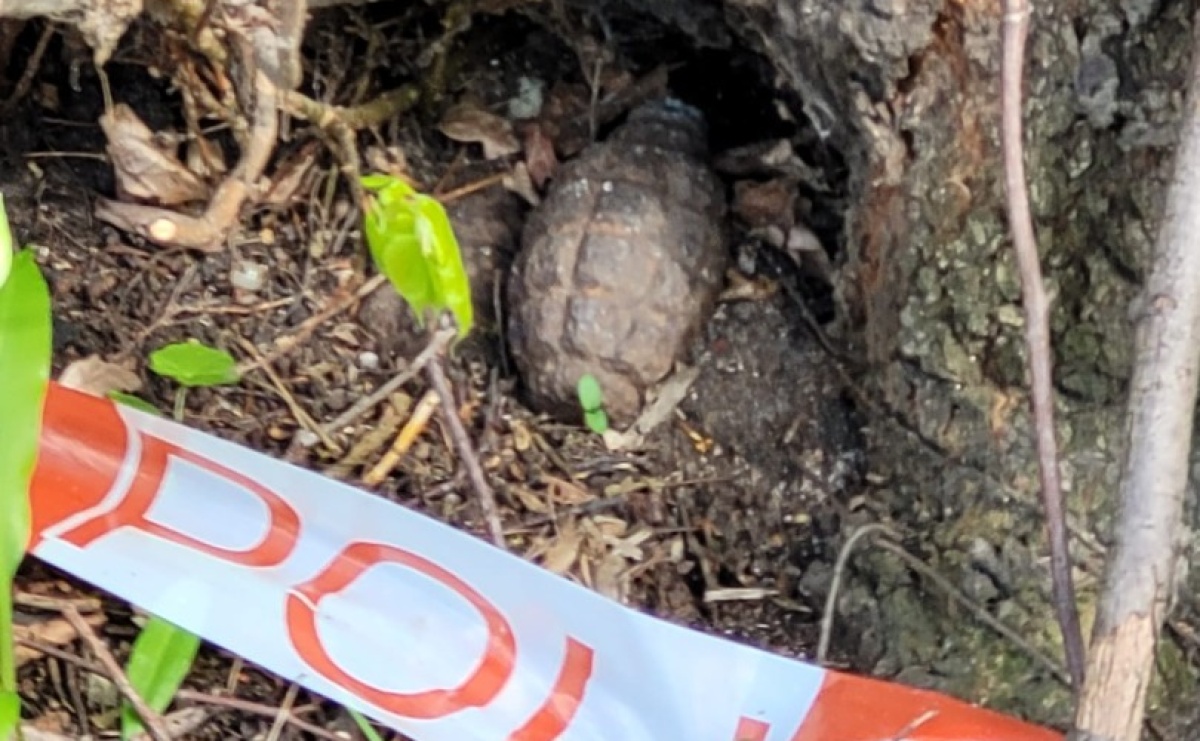 Niedaleko dworku myśliwskiego w Łężczoku odkryto dwa granaty - Serwis informacyjny z Raciborza - naszraciborz.pl