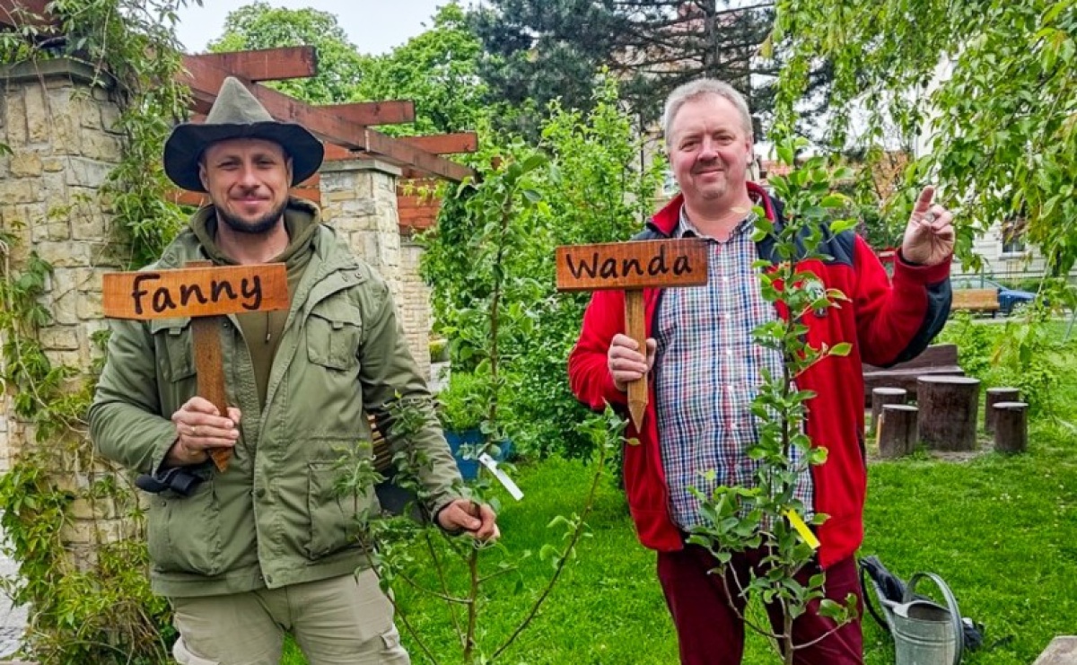 Dwie wyjątkowe grusze upiększyły Park Jordanowski - Serwis informacyjny z Raciborza - naszraciborz.pl