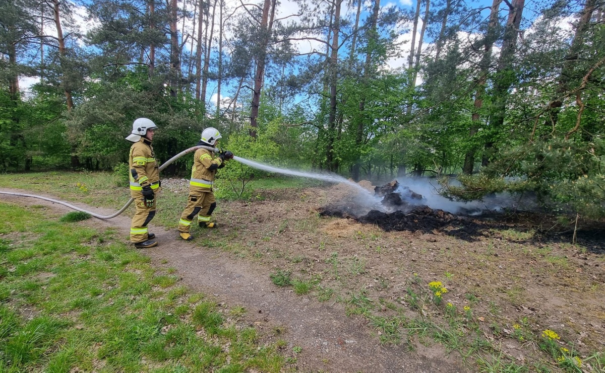 Pożar trawy w Kuźni Raciborskiej. To dzieło podpalacza [FOTO] - Serwis informacyjny z Raciborza - naszraciborz.pl